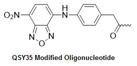 Bio-Synthesis Inc. Oligo Structure